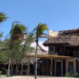 Movimento Suites