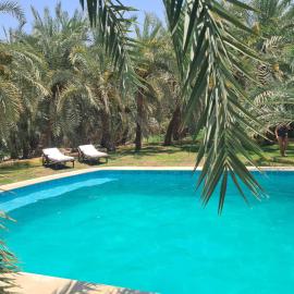 Spellbound in Siwa