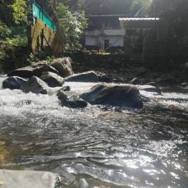 Creekshore Home Stay, hotel a Kallar-Bridge