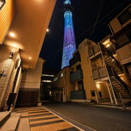 Sky Link Hotel Tokyo