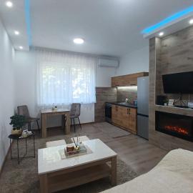 Apartmani Sofronic Loznica 1
