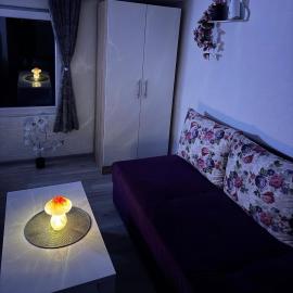 Georgeous lux apartment purple