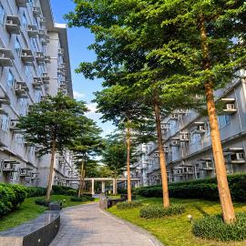 Trees Residences Condominium by SMDC near SM Fairview