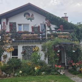 Agroturystyka Pod Kogutem, hotel v mestu Zamość