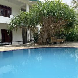 Royal Garden - Dambulla