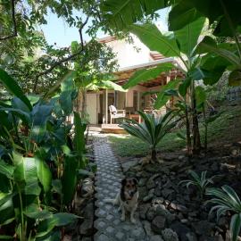 Spacious Beachfront Studio - Pool Hiking Surfing - South