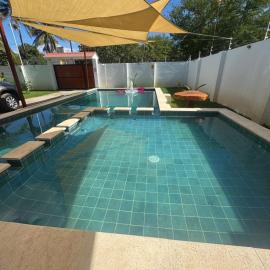 Toluca turtle house