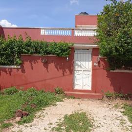 Chez baba