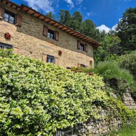 Into the Woods - Tuscany Retreat