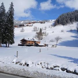 Ferienhaus Fassl