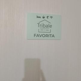 B&B Tribale