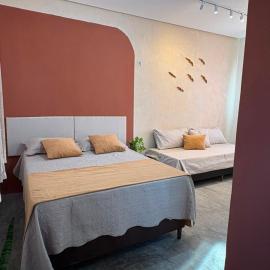 Loft Moderno II- Alto de São Manoel