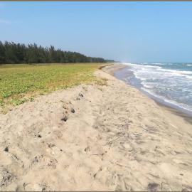 Orange Grey Beach house - Near club Mahindra resort, hotel em Pondicherry