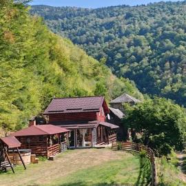 Flowers Cabin