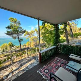 AMONG THE TREES: Široka şehrinde bir otel