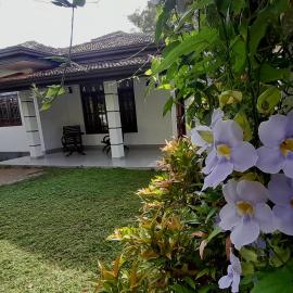 Villa Flora