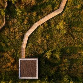 Stelzen-Baumhaus im WaldMehr - "Schlössla"