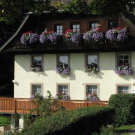 Hirschlehaus - Ferienwohnung Bärental