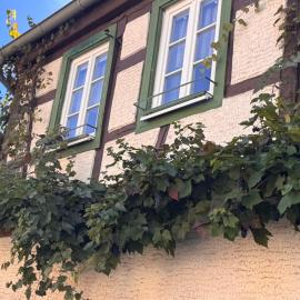 Zur alten Schmiede