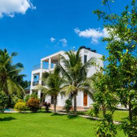 Palm Paradise Apartment
