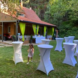 VILA ALEK-Ponikva, hotel v mestu Kočani