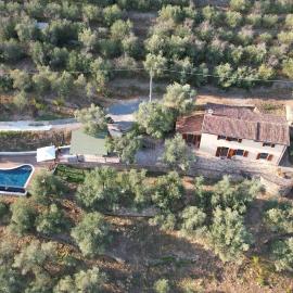 Private Casale with infinity pool in olive grove