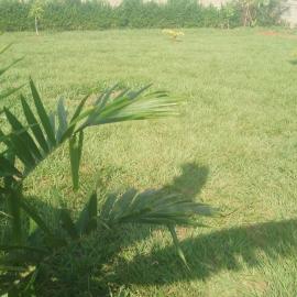 Namayingo Palm Resort, hotel a Bulamba