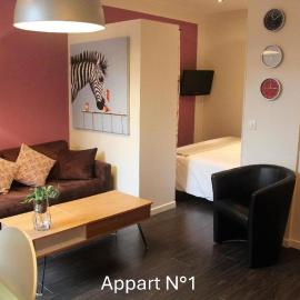 T2 Terrasse, centre proche Jardin Public