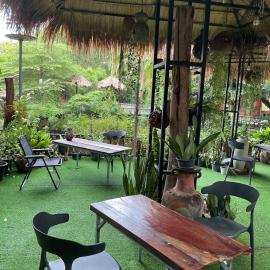 Tree and coffee resort V2