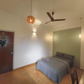 The Green Wall Studio AC Wifi - Gogol Margao