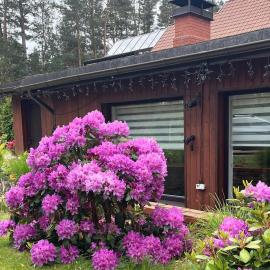 Saules House Saulkrasti