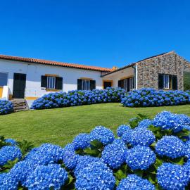 Casas da Boa Vista, ξενοδοχείο σε Horta