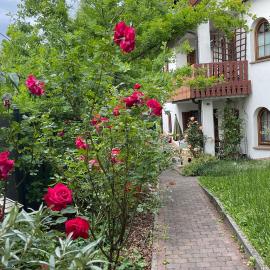 Rose & Oak Apartment