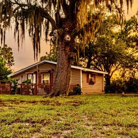 The Lake Alfred Citruswood Cabin