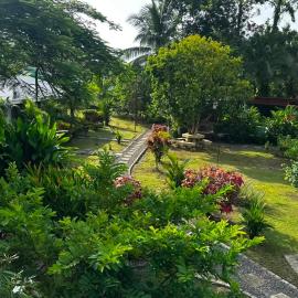 Amapola Lodge Cahuita