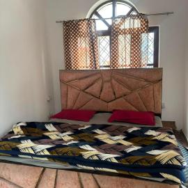 Startup House