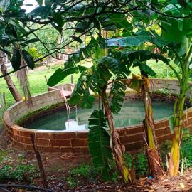 Shrushtiban farms