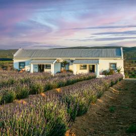 Karoo Lavender, khách sạn ở Oudtshoorn