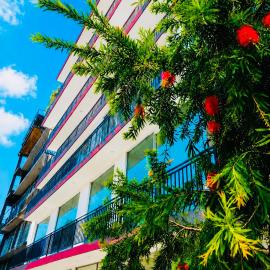 Hotel Velmont Kandy