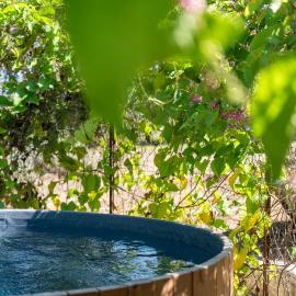Hemdatya Stone Suites In The Galilee