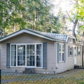 Charming Forest Chalet with Garden & Terrace in Gelderland