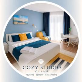 Cozy Studio Olimp