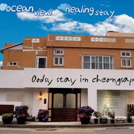 #RooftopGarden#RooftopBBQ #CapsuleTrain #HealingStay #HaeundaeBeach #Cheongsapo #AestheticHousing #Restaurant #StreetCat