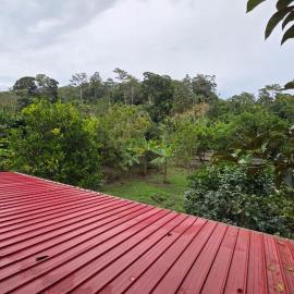 Greenhouse, hotel a Almirante