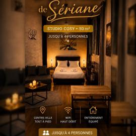 Escale de Sériane Grand Studio 50m2 Centre Ville, Hotel in Graulhet