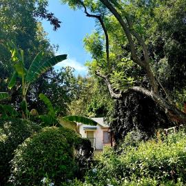 Unique Silver Lake Bungalow