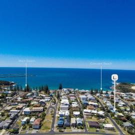An Octopus's Garden - Lifestyle Yamba