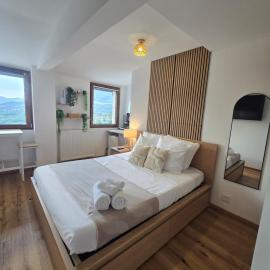 Panoramic Studio Near Geneva