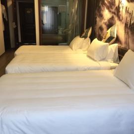 Sapa Delta Hotel