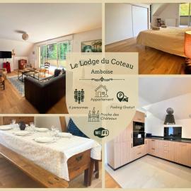 Le Lodge du Coteau - Parking et terrasses privés - Hypercentre Amboise, hotel a Amboise